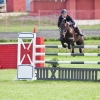 horses-csio2-12