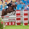 horses-csio2-23