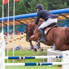 horses-csio2-24