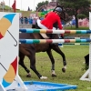 horses-csio2-26
