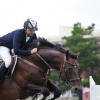 horses-csio2-28