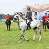 horses-csio2-33