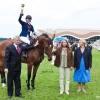horses-csio2-37