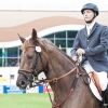 horses-csio2-58