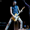 placebo-11215918