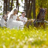 Профессиональный свадебный фотограф в Минске. Цены на свадебную фотосессию.